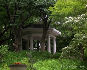 Nishi Shinjuku - Central Park