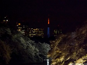 Chidorigafuchi de nuit