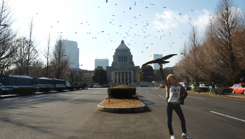 chim_pom_black_of_death