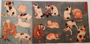 Proverbes illustrés par des chats