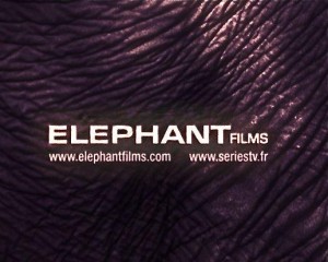 Elephant Film