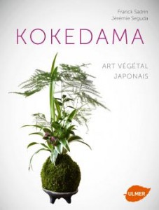 kokedama