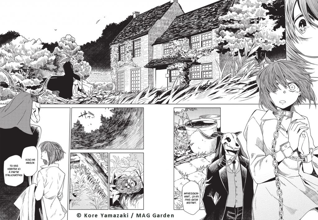 The-Ancient-Magus-planche