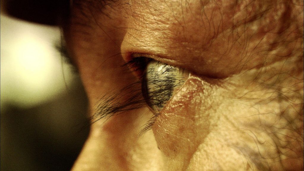 Les cheveux vivants s'insinuent partout