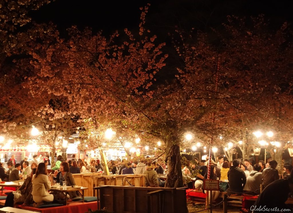 food-area-maruyama-park-kyoto