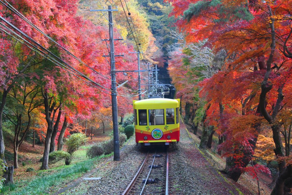 Le train du Mont Takao offre une belle approche des momiji. Crédits photo: Wattention