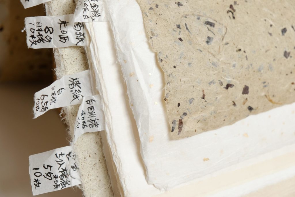 Papiers de Norihito Hasegawa