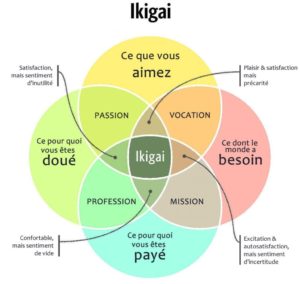 schéma de l'ikigai / source Daily Geek Show