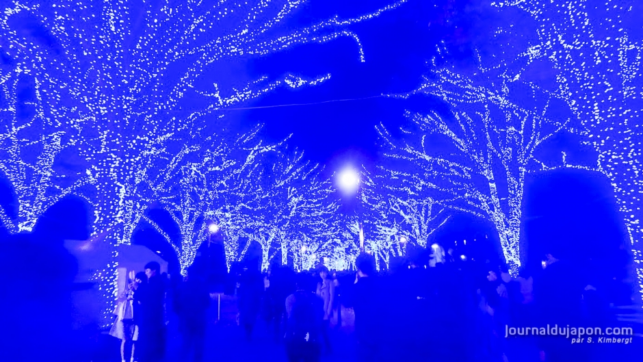 Calendrier de l'avent - Japon-24 décembre