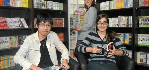 Bilan Manga Libraire