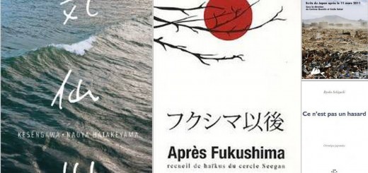 Fukushima Littérature