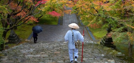 Temple Chikurin-ji n 31 du pélerinage de Shikoku qui en compte 88.