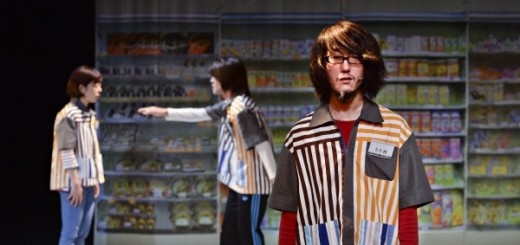 Super Premium Soft Double Vanilla Rich