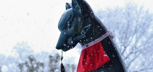 Inari - Credit photo : nobu_photo