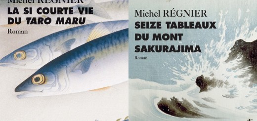 Michel Régnier Roman