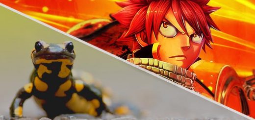 Salamandre Fairy Tail