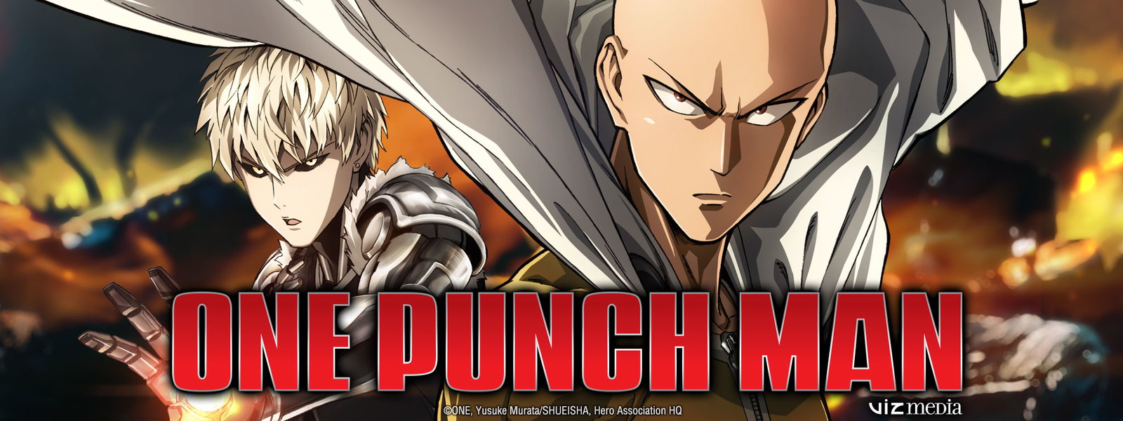 Résultat de recherche d'images pour "one punch man"