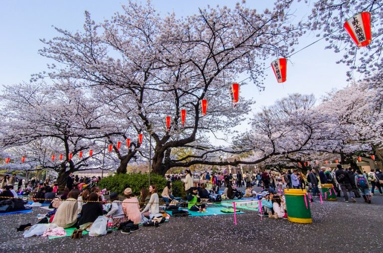 Le Shunbun no Hi célébrer l’arrivée du printemps au Japon