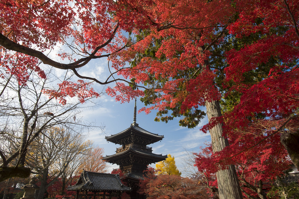 shinnyodo temple kyoto