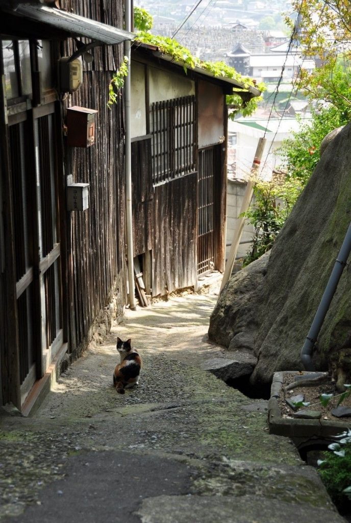 Les rues d'Onimichi se prêtent à une séance photo hors du temps. Crédits: Kashasoku