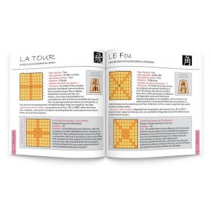 shôgi initiation livre