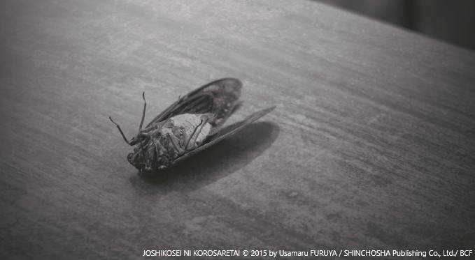 Manga Quand Le Thriller S Invite Chez Vous