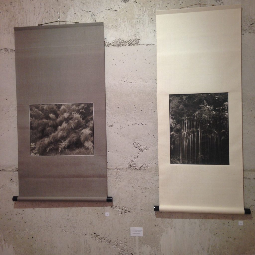 [Exposition] Nobuyuki KOBAYASHI : les dieux de la nature - sous sol