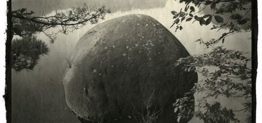 Photographie prise par Nobuyuki KOBAYASHI.