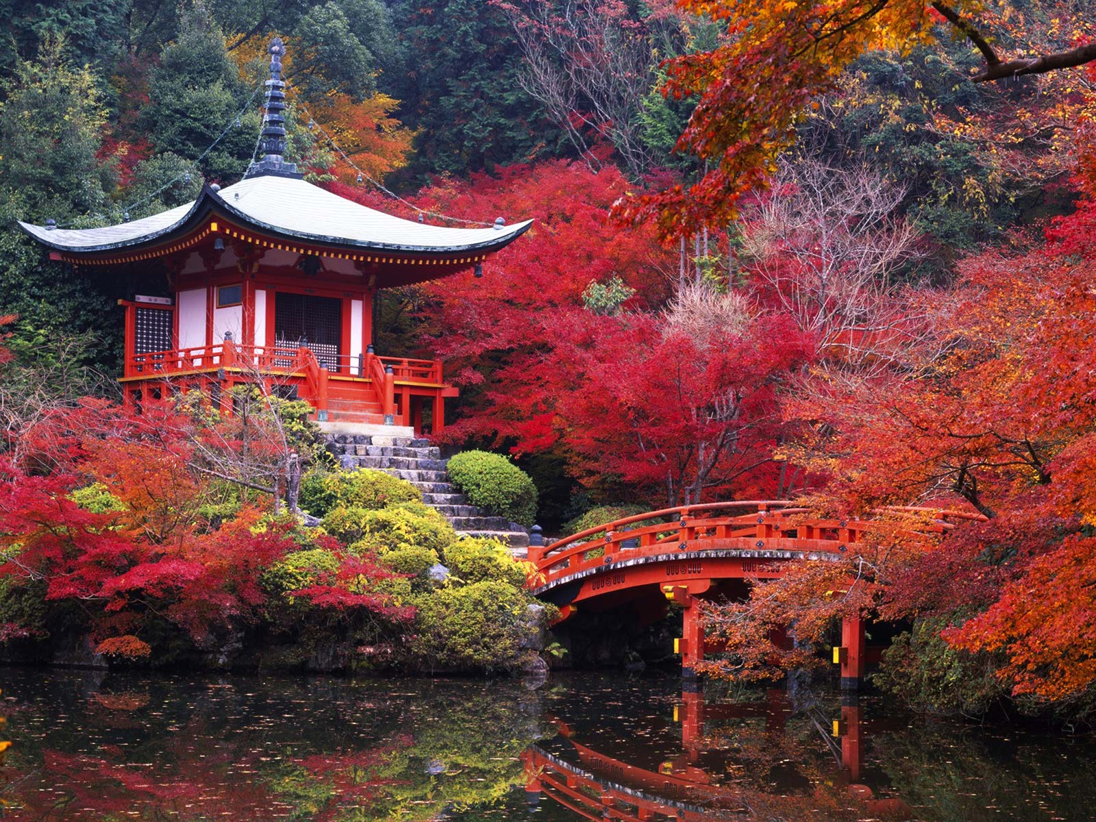 Le jardin japonais d'Amoena - La terre est un jardin