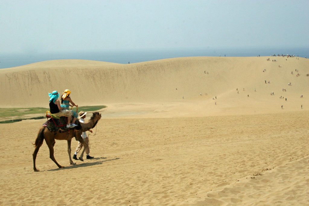 À dos de dromadaire à Tottori