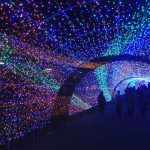 Calendrier de l'avant - Japon-20