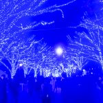 Calendrier de l'avant - Japon-24