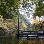 Calendrier de l'avant - Japon-8