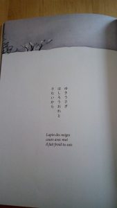 Mes chats écrivent des haikus, extrait : Chat et lapin. Editions 2017