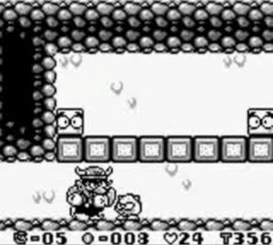 Wario Land