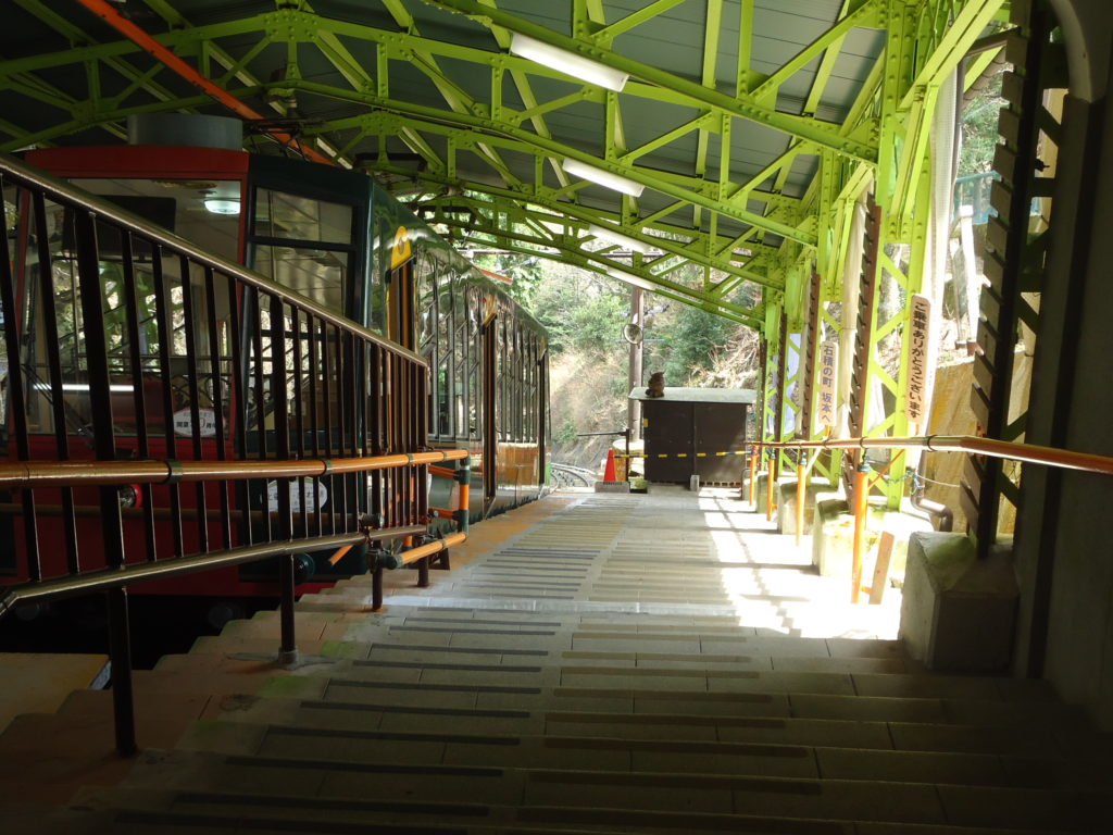 Le câble-car permet d'arriver sans véritables efforts au sommet du mont.