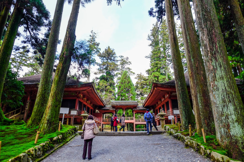 Le temple est niché au cœur d'une forêt. 
