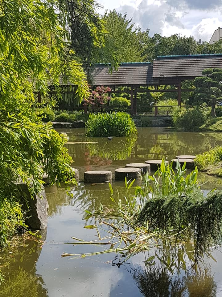 Île de Versailles et son petit chemin de pierres rondes sur l'eau
