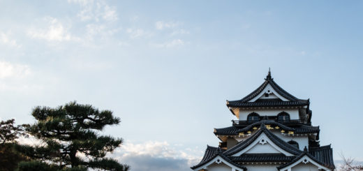 Le château de Hikone