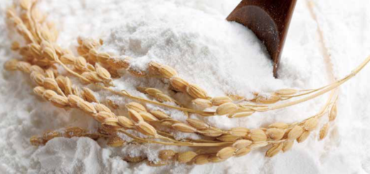 Farine de riz japonaise