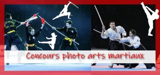 Conours arts martiaux JDJ