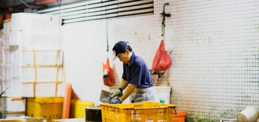 Photo by chuttersnap on Unsplash