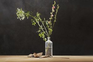 ikebana, l'art floral wabi sabi