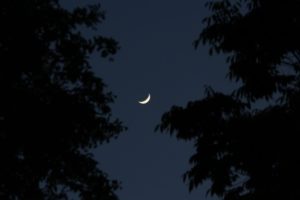 wabi sabi lune cachée