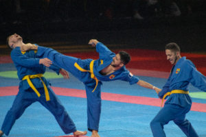 Festival des Arts Martiaux 2019 - ®Juliet Faure - 2019