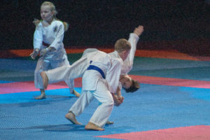 Festival des Arts Martiaux 2019 - ®Juliet Faure - 2019