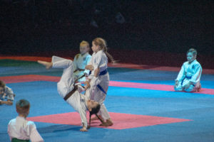 Festival des Arts Martiaux 2019 - ®Juliet Faure - 2019