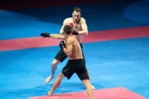 Festival des Arts Martiaux 2019 - ®Juliet Faure - 2019