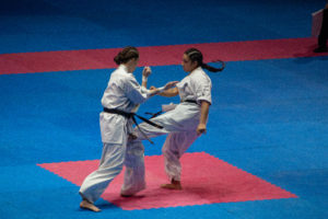 Festival des Arts Martiaux 2019 - ®Juliet Faure - 2019