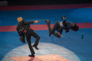 Festival des Arts Martiaux 2019 - ®Juliet Faure - 2019